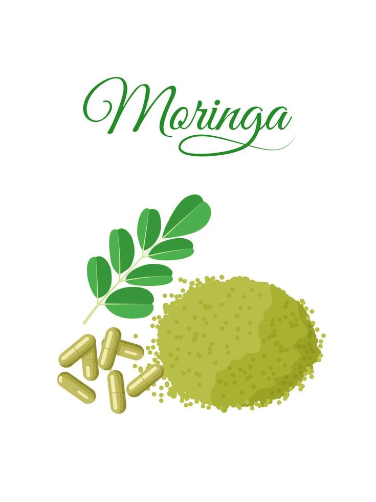 Moringa-Blattpulver oder Moringa oleifera, mit Kapseln und frischen grünen Blättern, isoliert auf weißem Hintergrund, Vektorillustration. vektor
