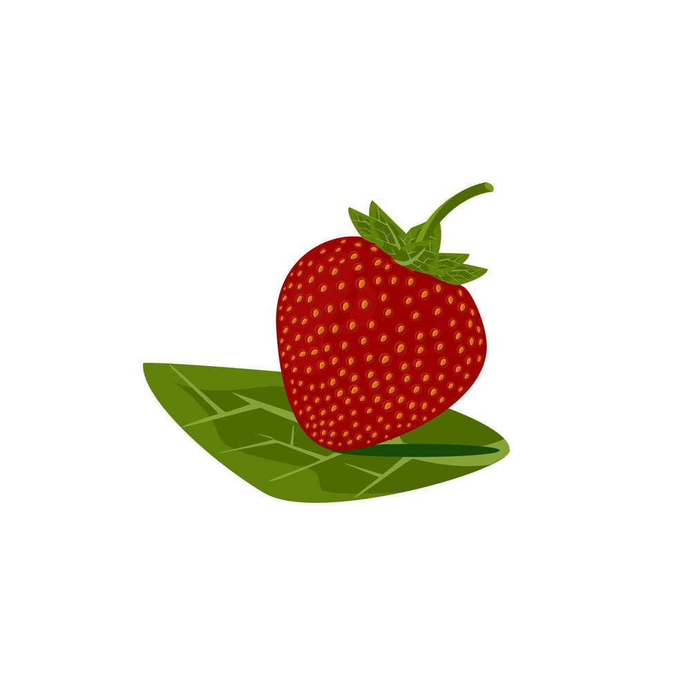 frische rote Erdbeere mit süßem Geschmack vektor