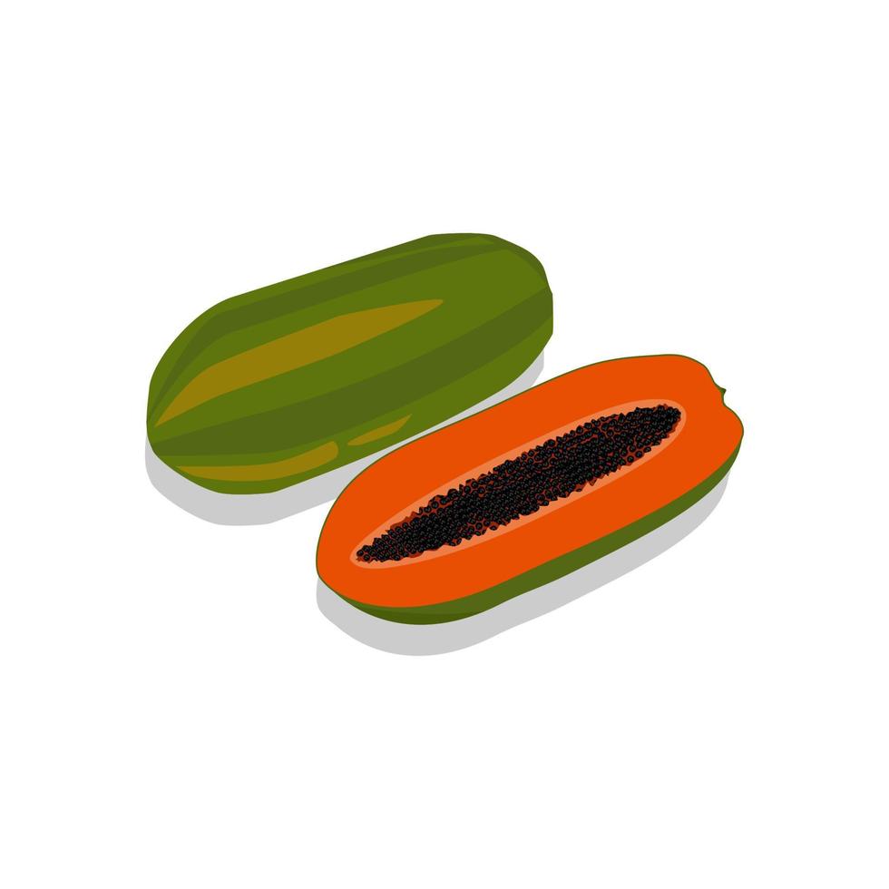 färsk papayafruktvektor är lämplig för flayerdesignbehov, bokomslag och olika frukttemadesigner vektor