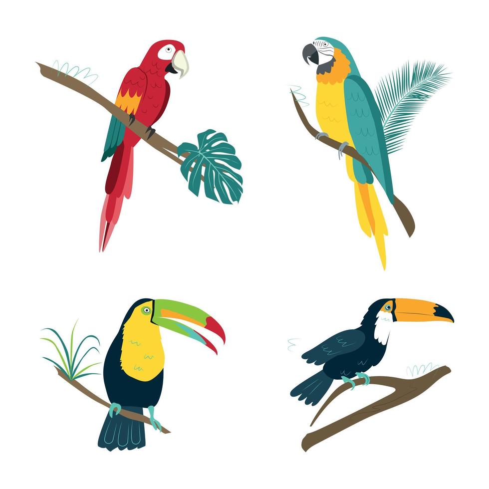 vektor tropiska fåglar papegojor