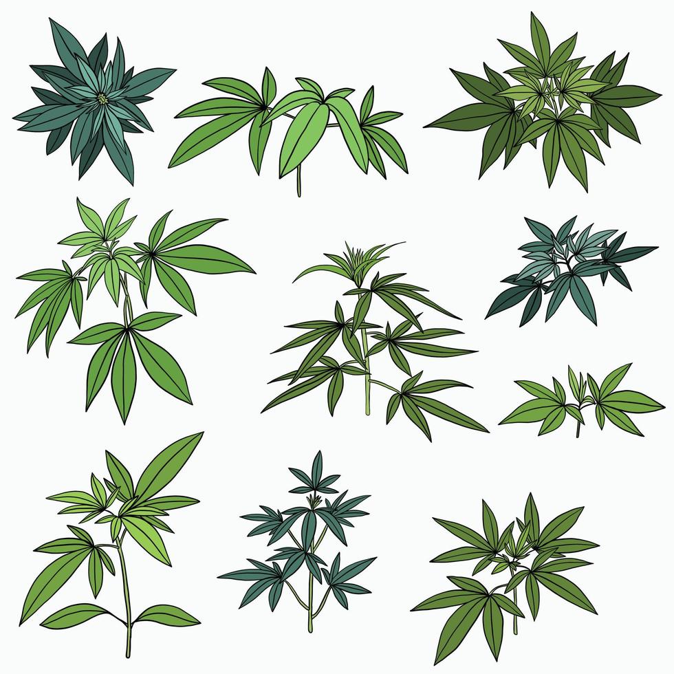 enkelhet cannabisväxt frihandsritning platt design samling. vektor