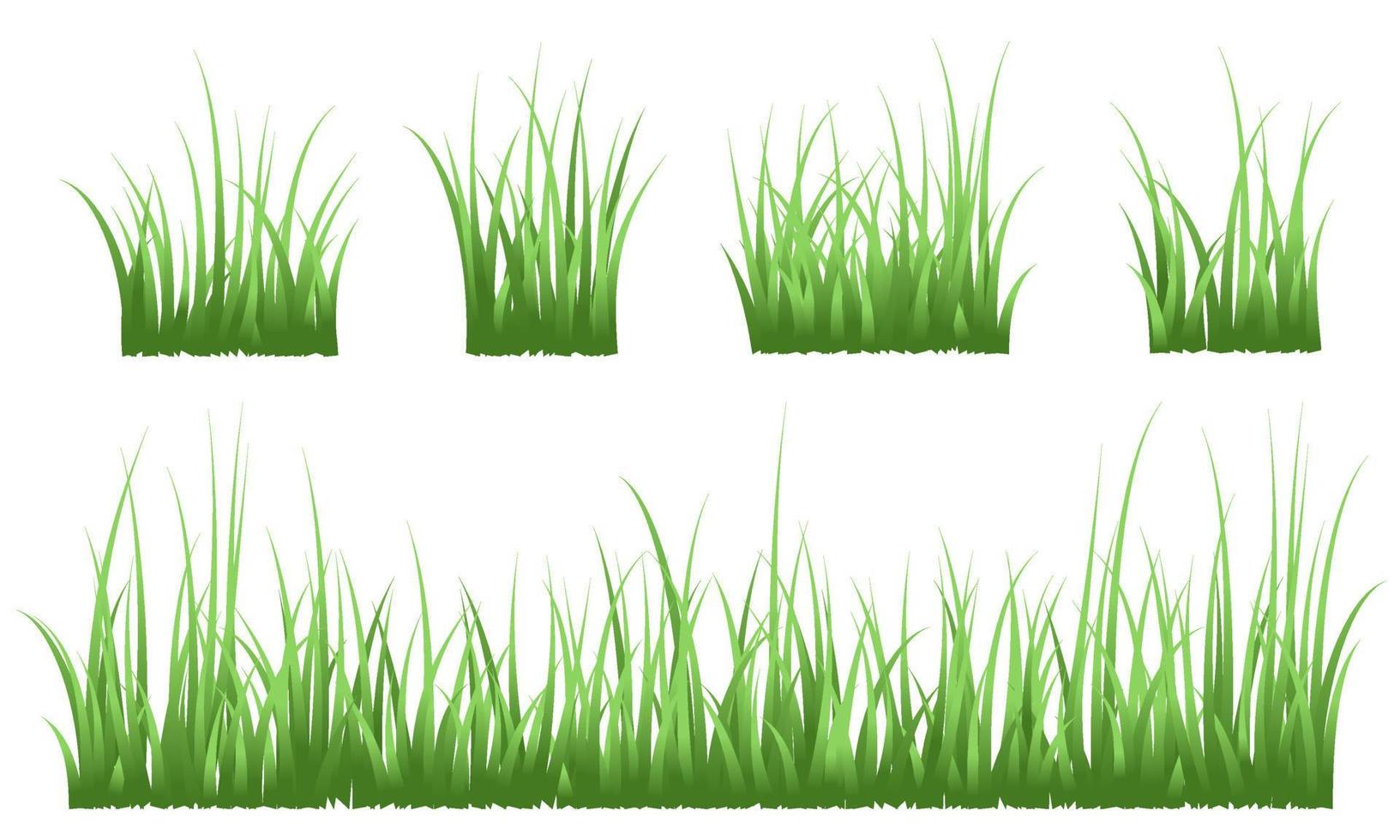 grünes Gras, Grashintergrund vektor