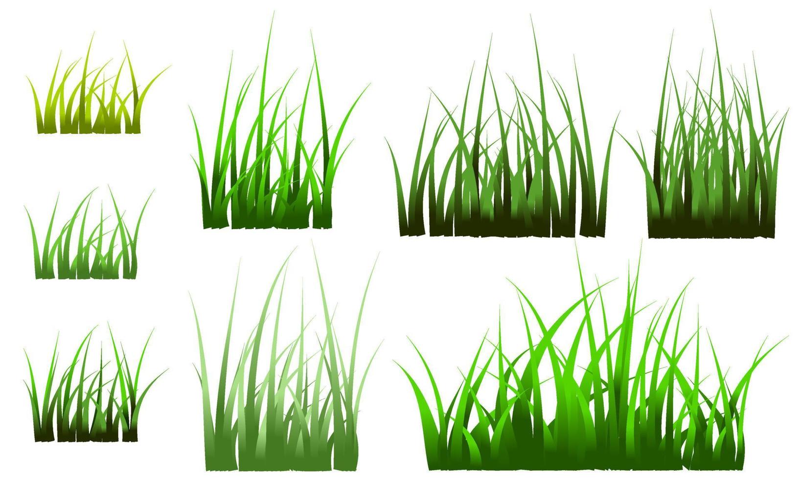 Rasen, Hintergrund des grünen Grases, Gras lokalisierter Vektor frei