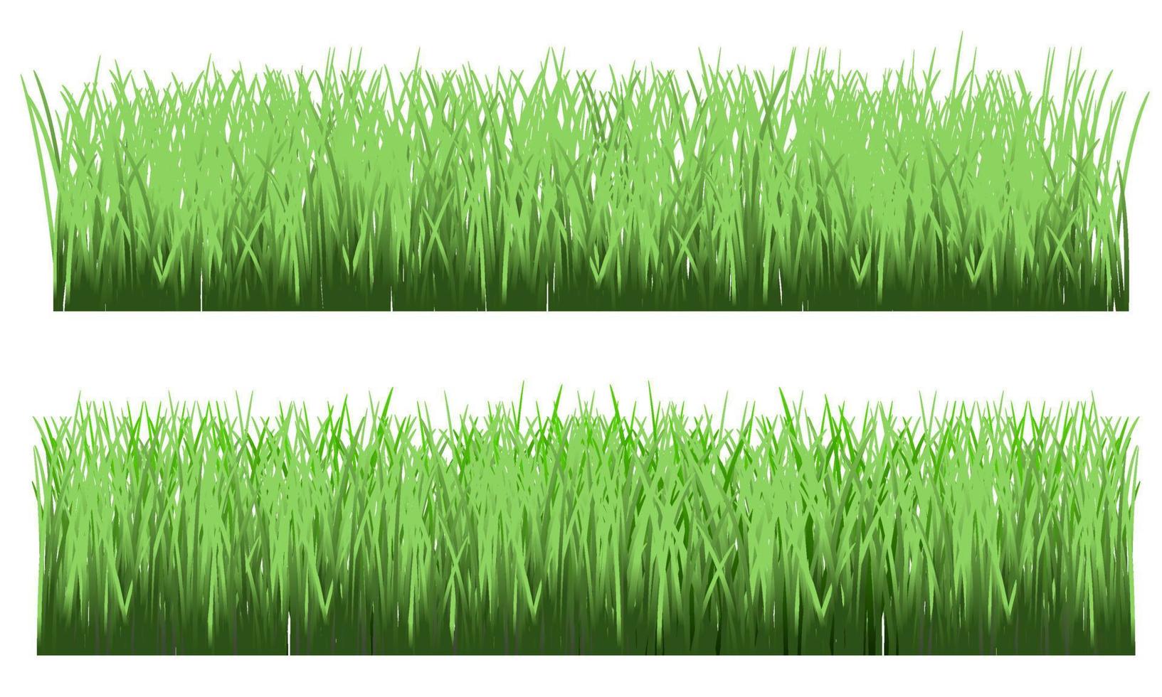 grünes gras, wiese, realistisches gras. grasbewachsener Hintergrund vektor