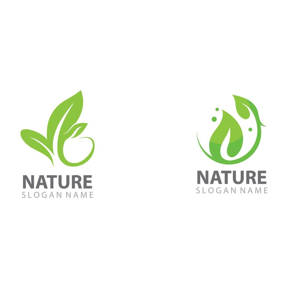 löv natur logotyp designmall vektor