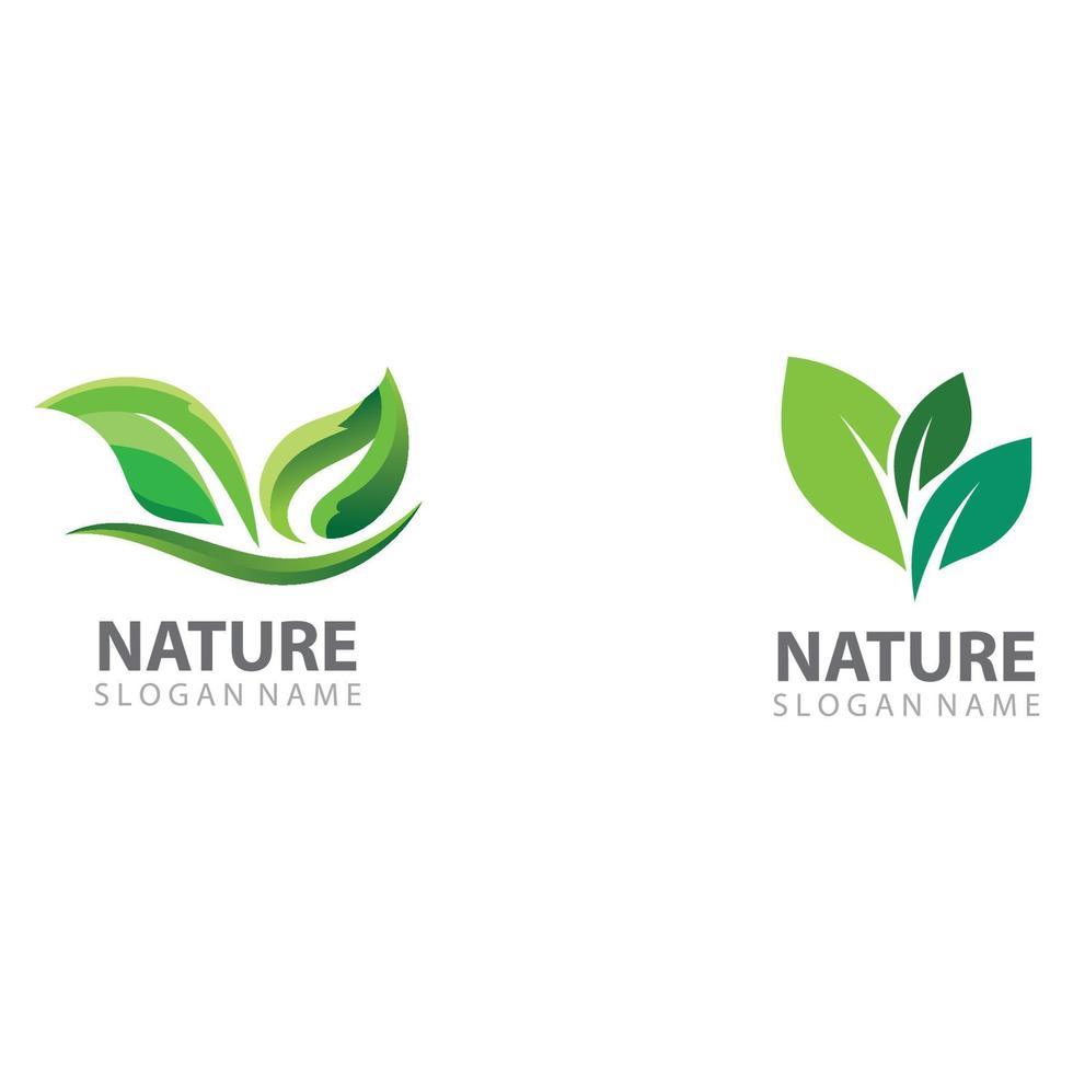 Blatt-Natur-Logo-Design-Vorlagenvektor vektor