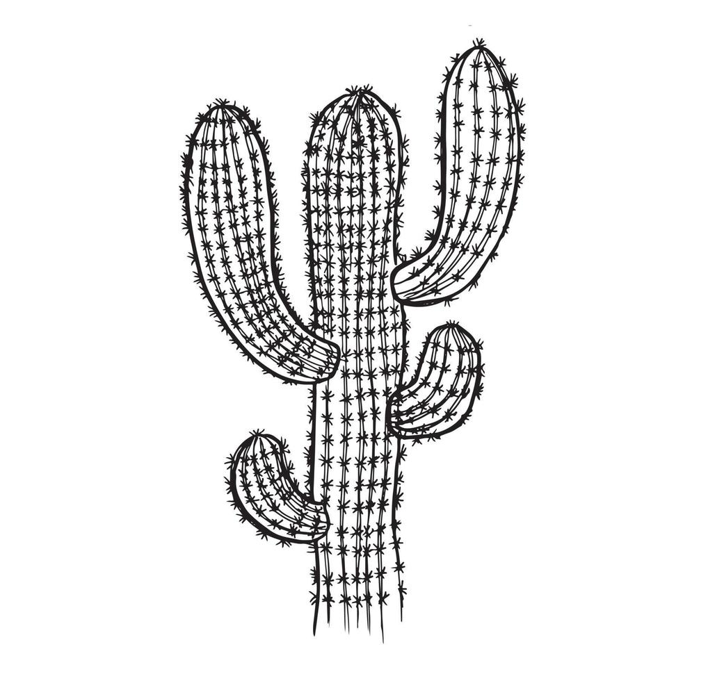 665.epscactus handritad illustration, vektor. vektor