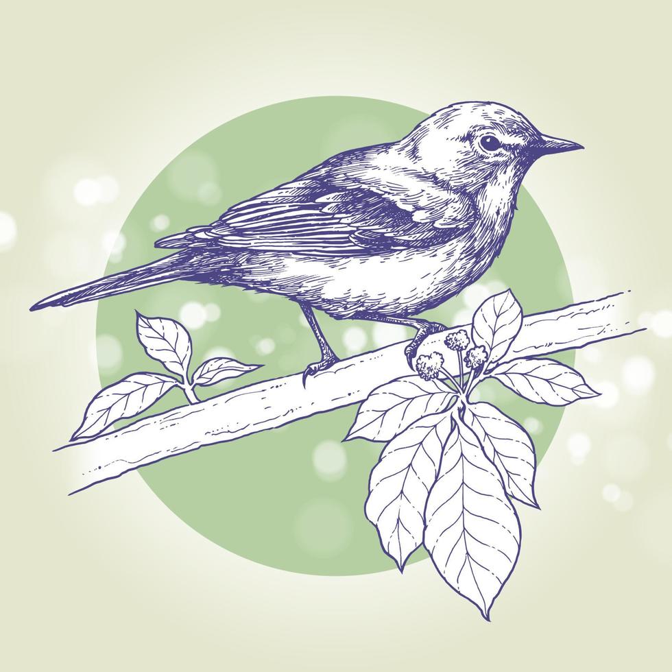 Vogel auf einem Ast, Tuschezeichnung, handgezeichnete Illustration, Vektor
