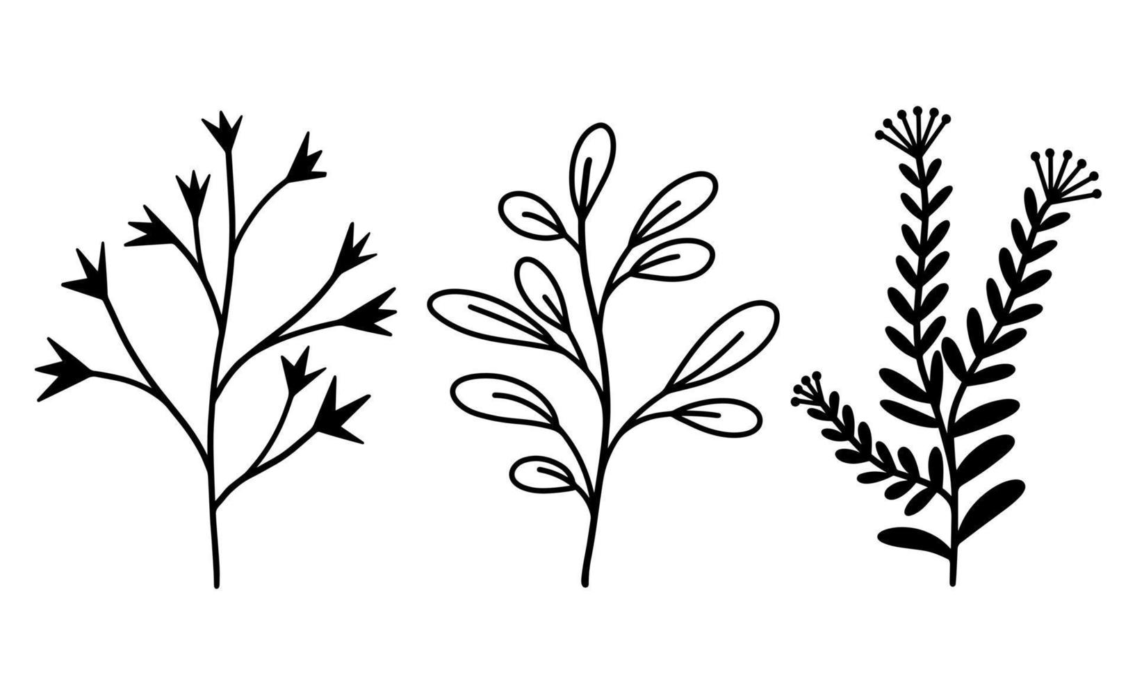 uppsättning vektor botaniska element grenar med löv och gräs. handritad doodle stil växter. örter med blomställningar och bär. isolerade objekt på vit bakgrund