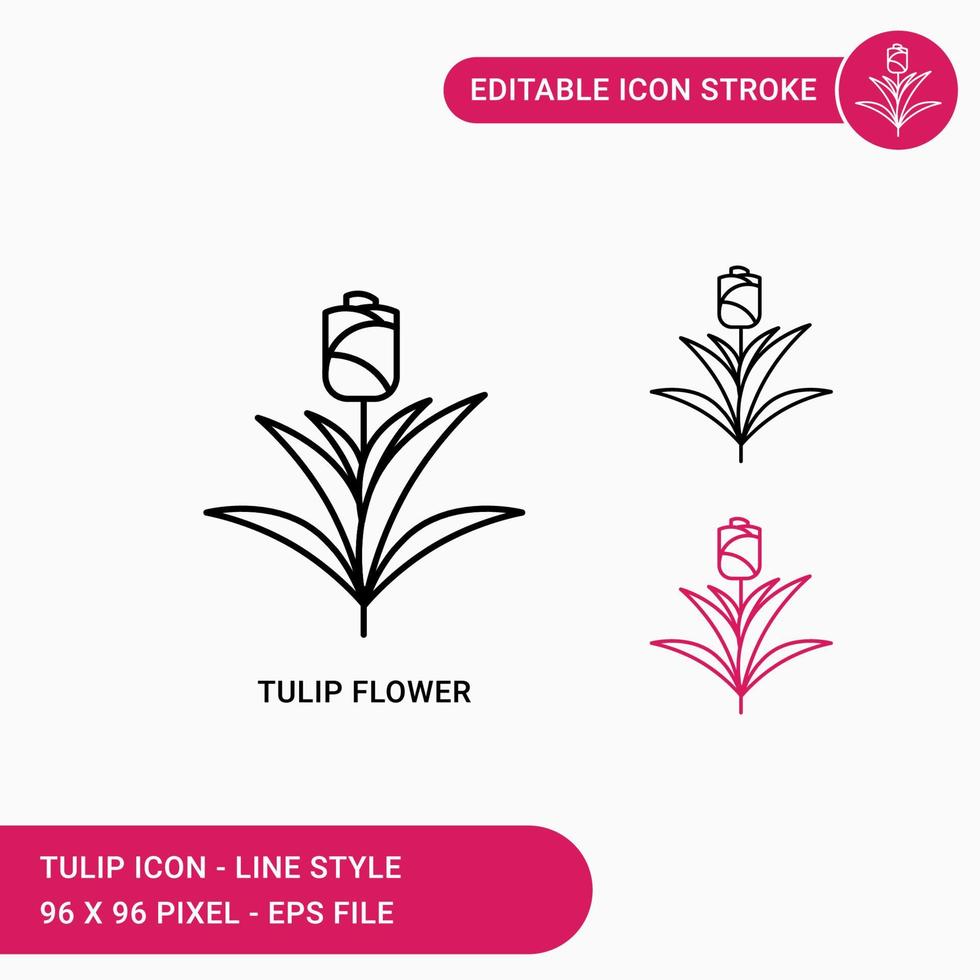 Tulpenblumenikonen stellten Vektorillustration mit Ikonenlinienart ein. editierbares Strichsymbol auf isoliertem weißem Hintergrund für Webdesign, Benutzeroberfläche und mobile Anwendung vektor