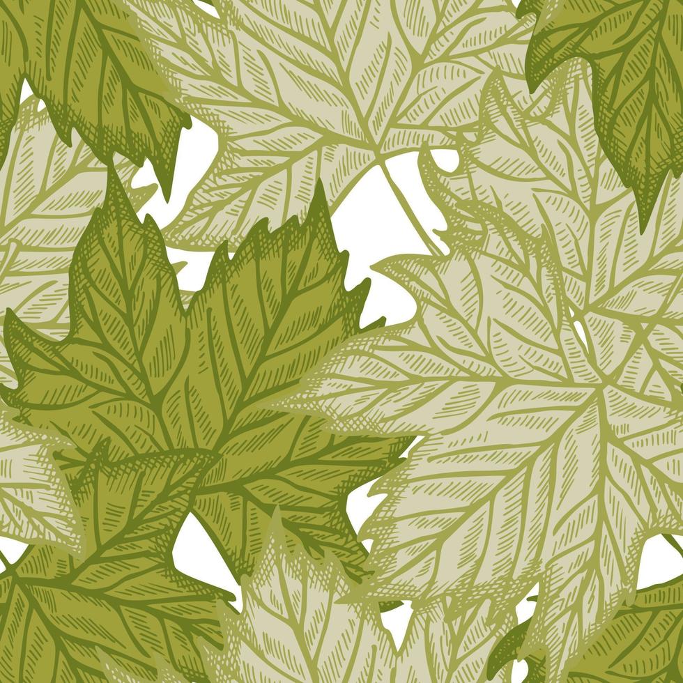löv lönngraverat sömlöst mönster. grön bakgrund sommar botaniska med kanadensiska bladverk i handritad stil. vektor