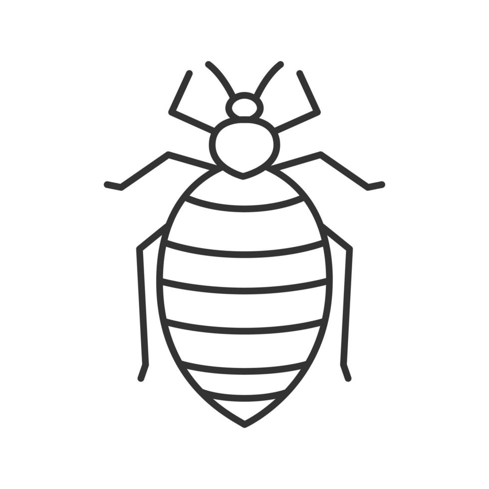 Lineares Symbol für Bettwanzen. Insektenpest. dünne Liniendarstellung. menschlicher Parasit. Kontursymbol. Vektor isoliert Umrisszeichnung