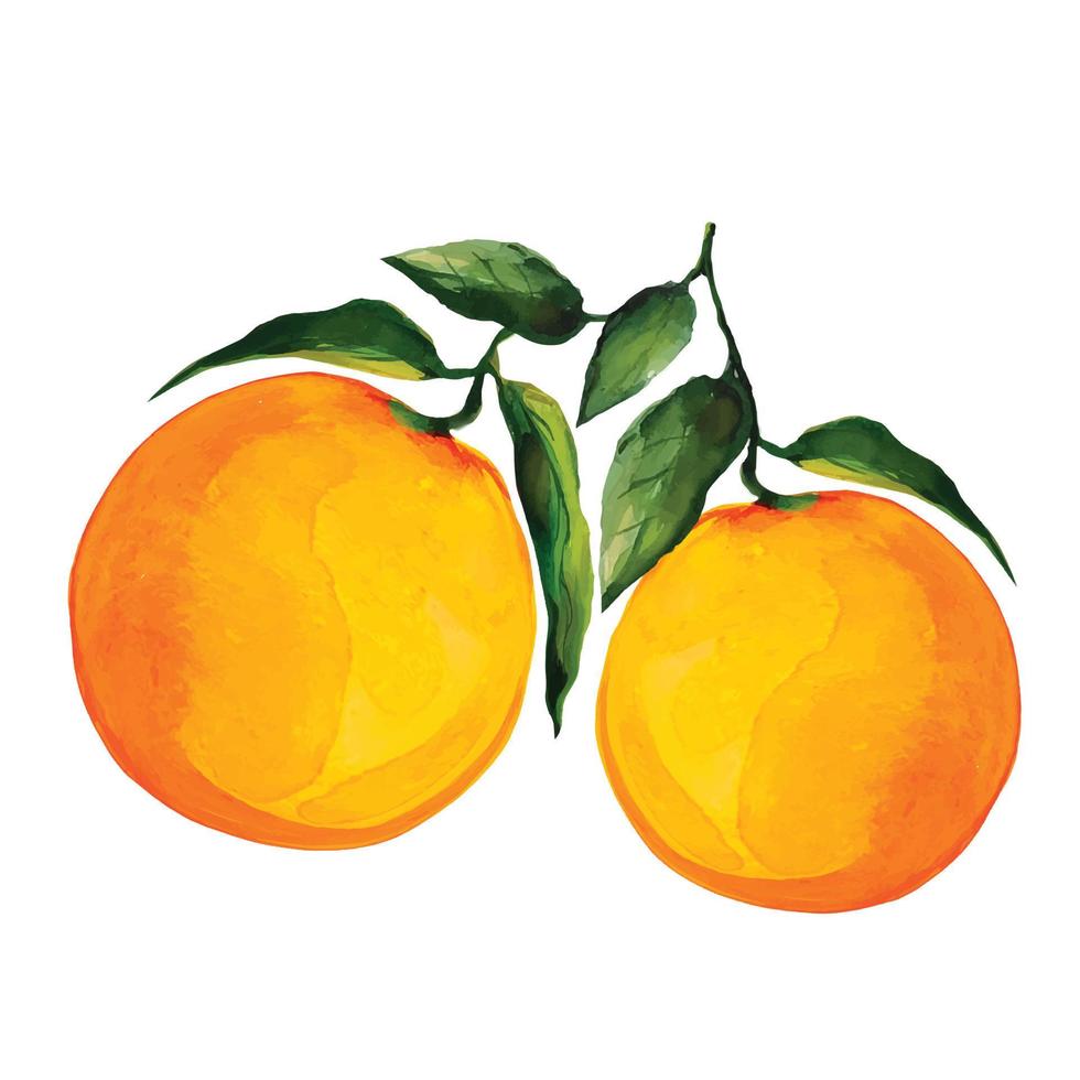 orange frukt frukt med blad vektor illustration