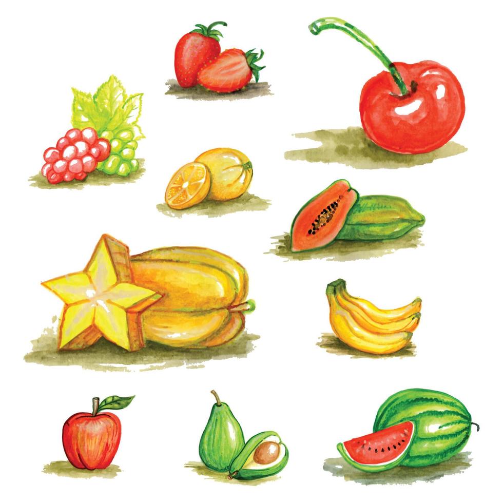 handritad akvarell färgglada illustration uppsättning färsk frukt och bär med färgstänk. vektor
