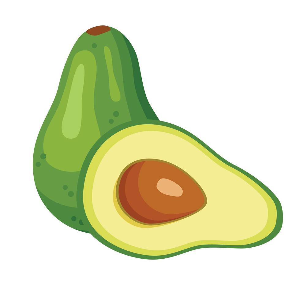 ganze und halbe Avocado-Vektorillustration. isoliert auf weißem Hintergrund. öko bio vegane lebensmittelzutat. vektor