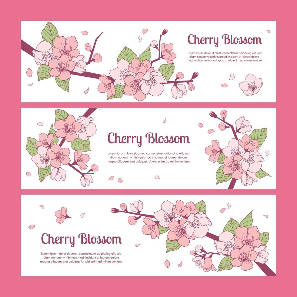 Set von Banner-Vorlagen mit wunderschönen, handgezeichneten Kirschblüten vektor