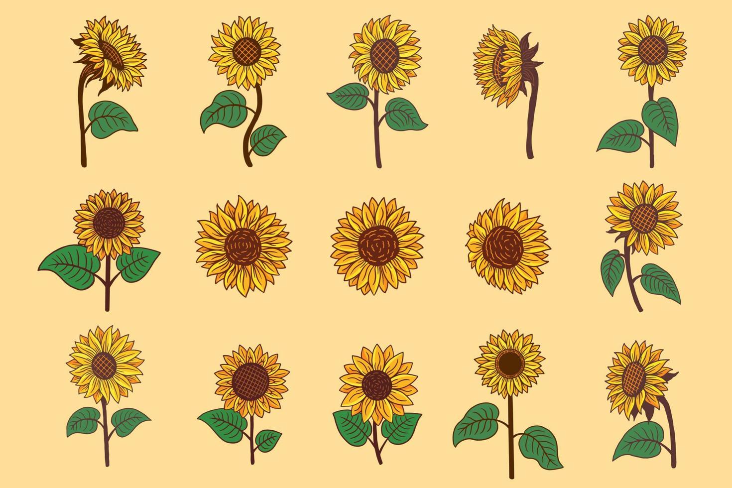 ställa in enorm samling bunt solros sommar blommig natur växt estetisk handritad romantisk illustration vektor