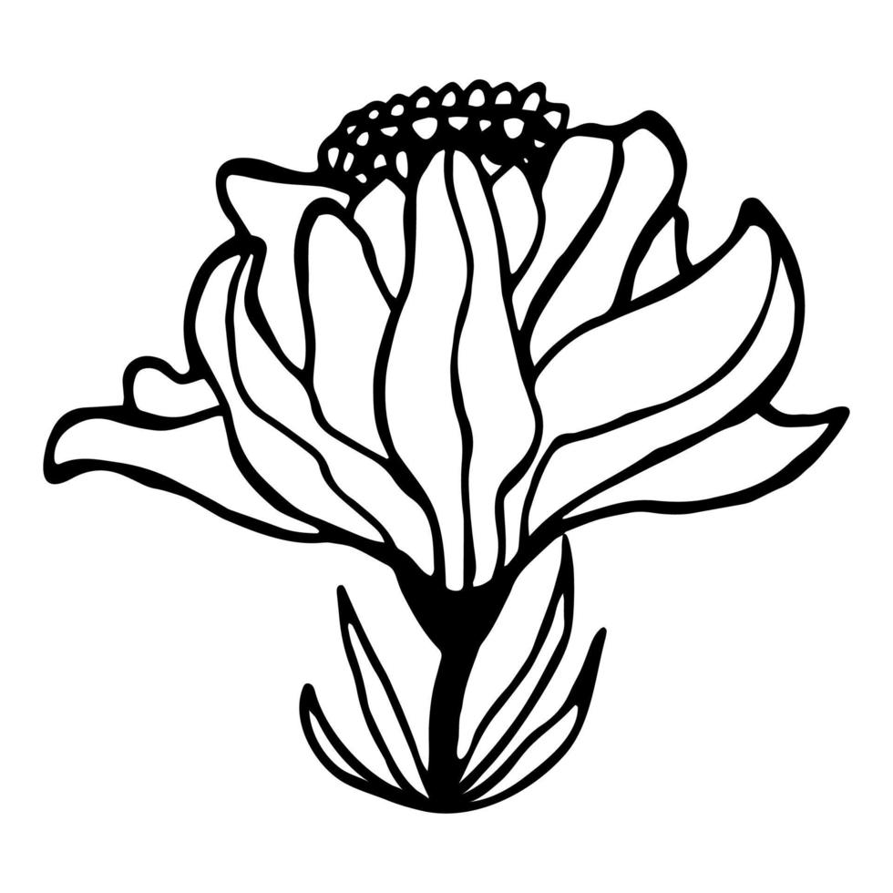 handritad söt enda doodle blomma i blom. vektor illustration.