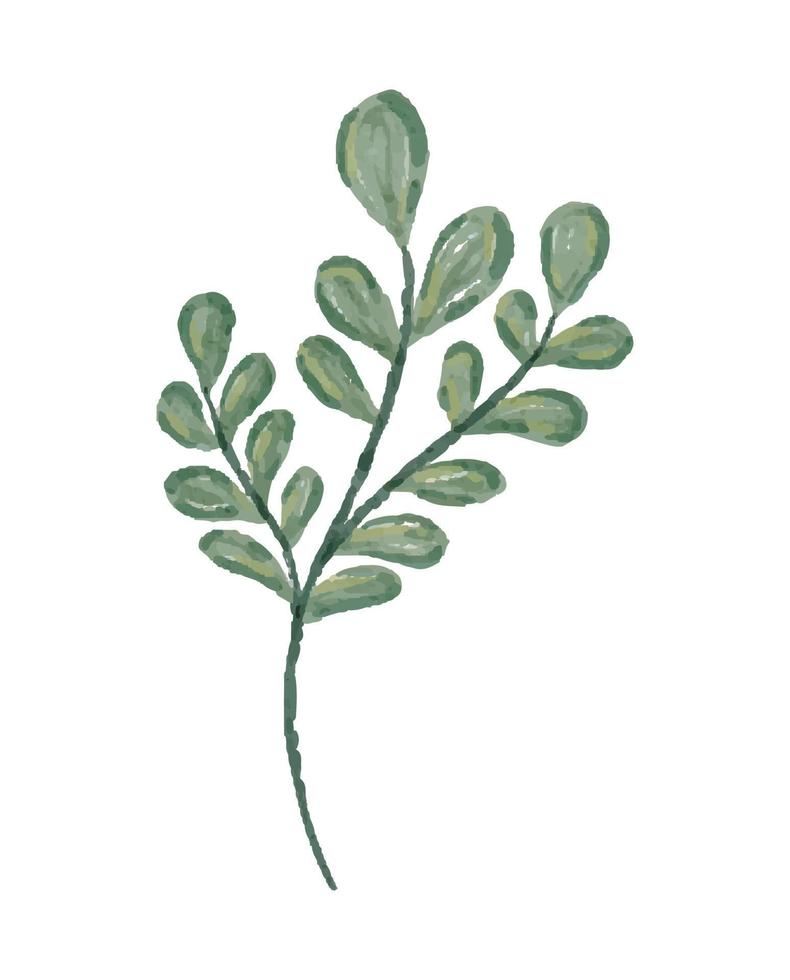 akvarell illustration av växten grodd vektor