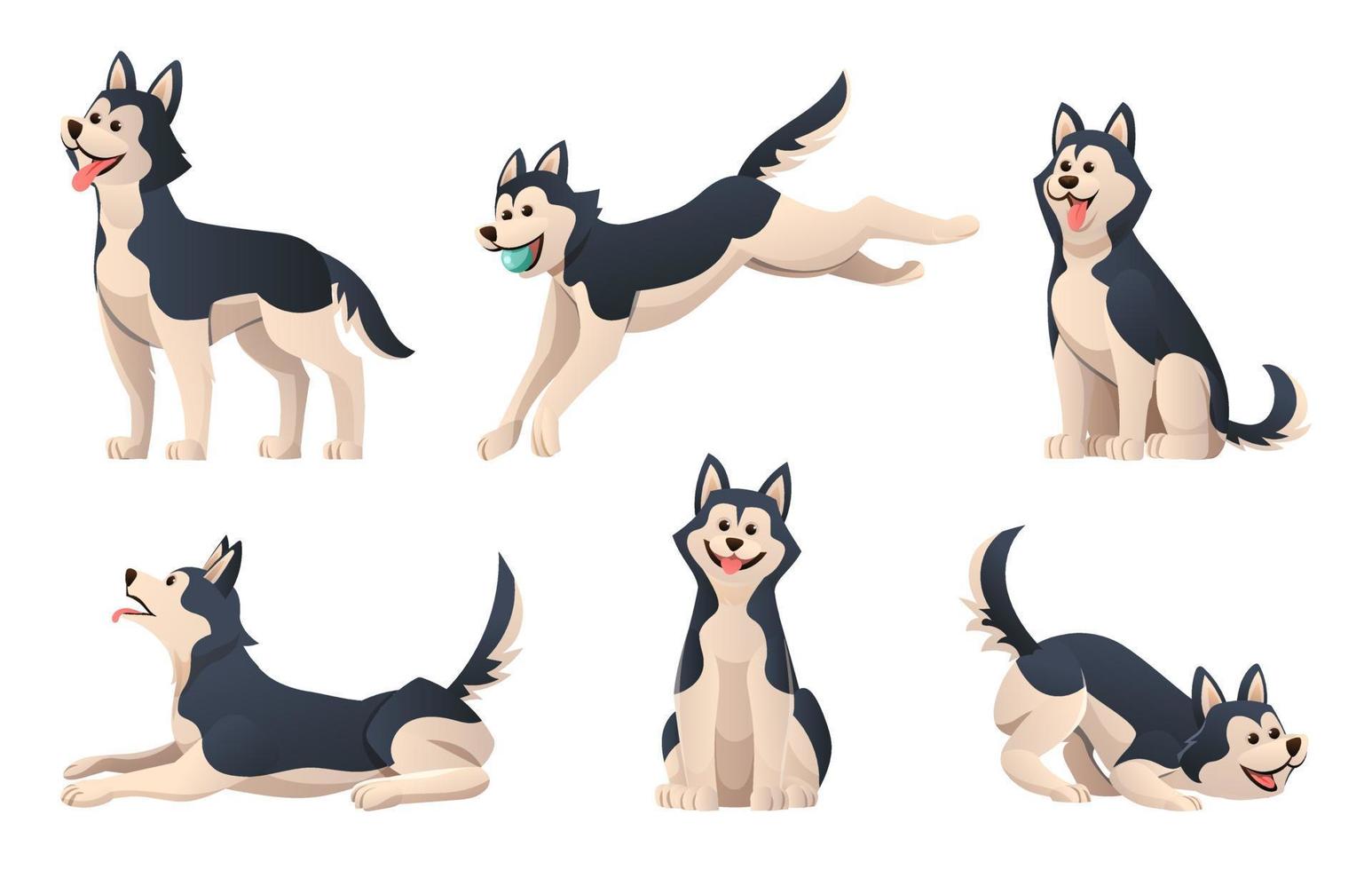 uppsättning av tecknad husky hund i olika poser vektor