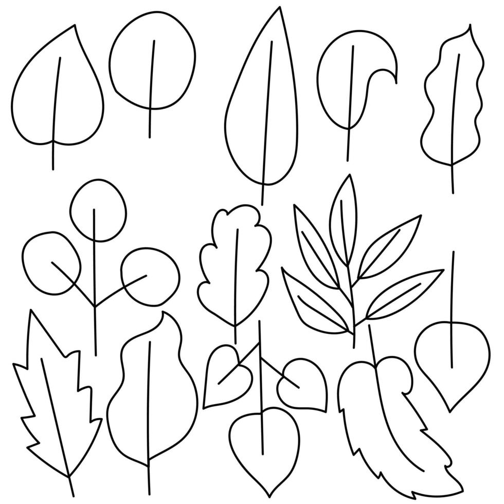 eine Reihe von Konturen von Blättern verschiedener Bäume, eine vereinfachte Form einer Blattspreite, eine schematische Darstellung eines Blattes vektor
