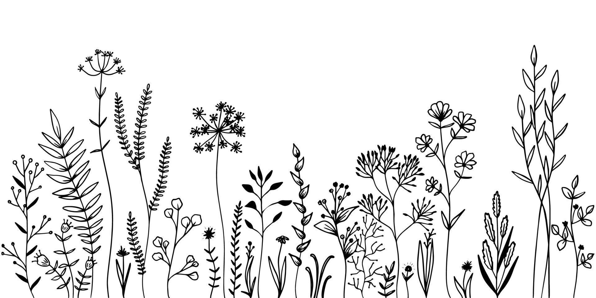 Reihe von wilden Wiesenkräutern und Blumen. hand gezeichnete schwarze vektorillustration. isolierte Elemente für das Design. vektor