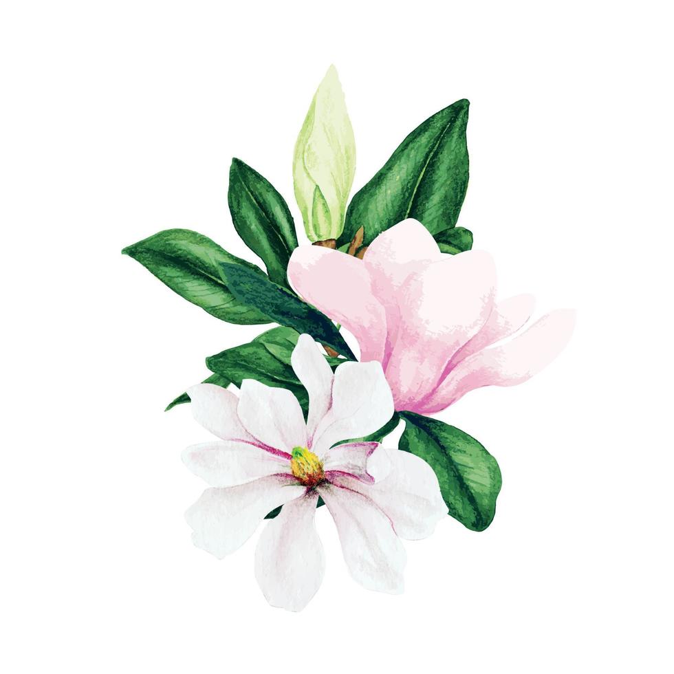 Magnolie und Blätter, heller Aquarellblumenstrauß, handgezeichnete Vektorillustration vektor