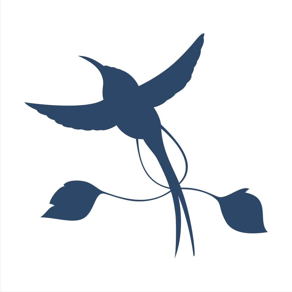 Silhouette eines Kolibri-Vogels. loddigesia mirabilis isolierte vektorillustration. weißer Hintergrund. vektor