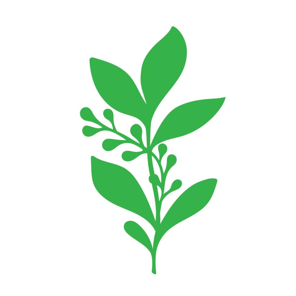 grüne Zweige und Äste mit Blattvektor, vektor