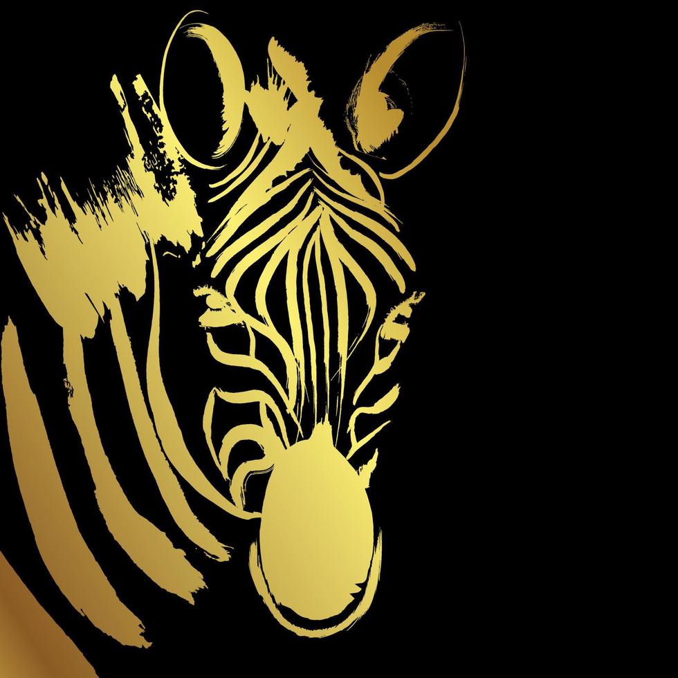 zebra penseldrag gyllene målning över svart bakgrund vektor