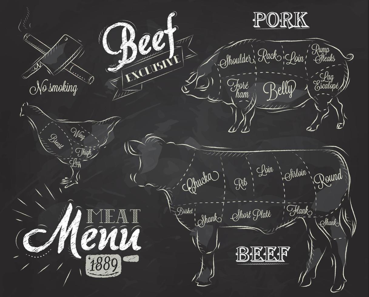 krita illustration av ett vintage grafiskt element på menyn för kött biff ko gris kyckling uppdelad i bitar av kött vektor