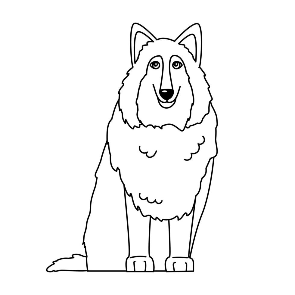 collie hund målarbok. kontur vektor illustration