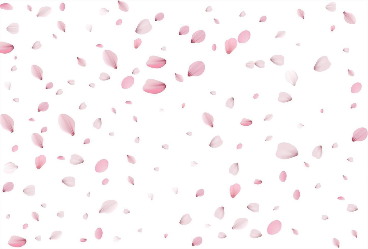 Sakura-Blütenblätter Hintergrund. Kirschblüten vektor