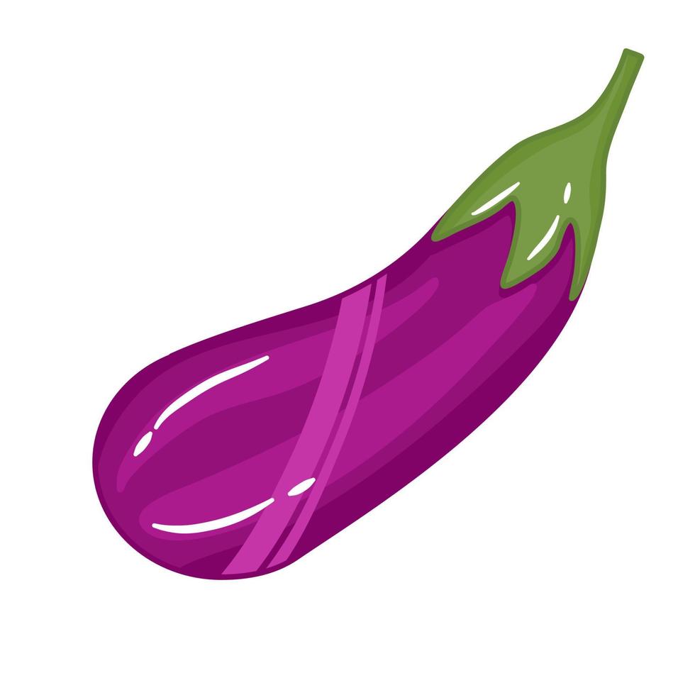 lila Auberginenvektor aus frischem Gemüse vektor
