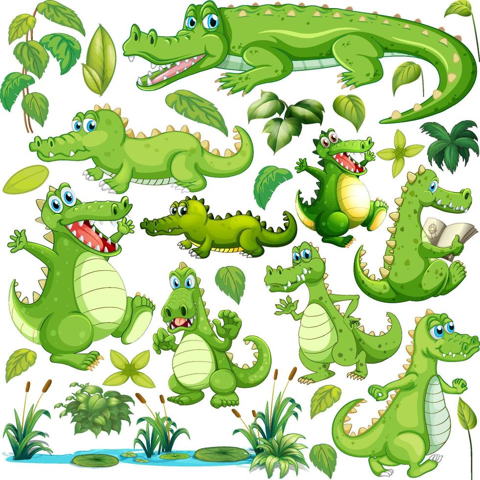 Grünes Krokodil in verschiedenen Aktionen vektor