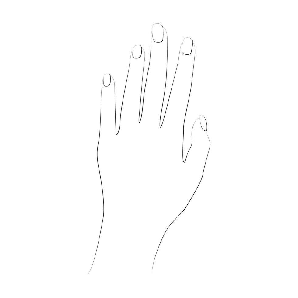 line art hand vektor