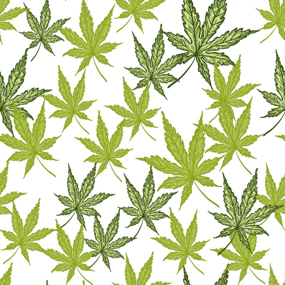 hinterlässt Cannabis eingraviertes nahtloses Muster. retro hintergrund botanisch mit blatt marihuana im handgezeichneten stil. vektor