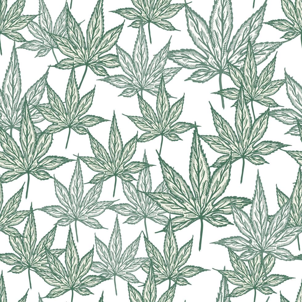 Blätter Ahorn kanadisch graviert nahtloses Muster. vintage hintergrund botanisches blatt cannabis im handgezeichneten stil. vektor