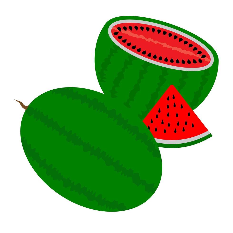 zwei Wassermelonen ein Cutaway mit einer Scheibe auf weißem Hintergrund vektor