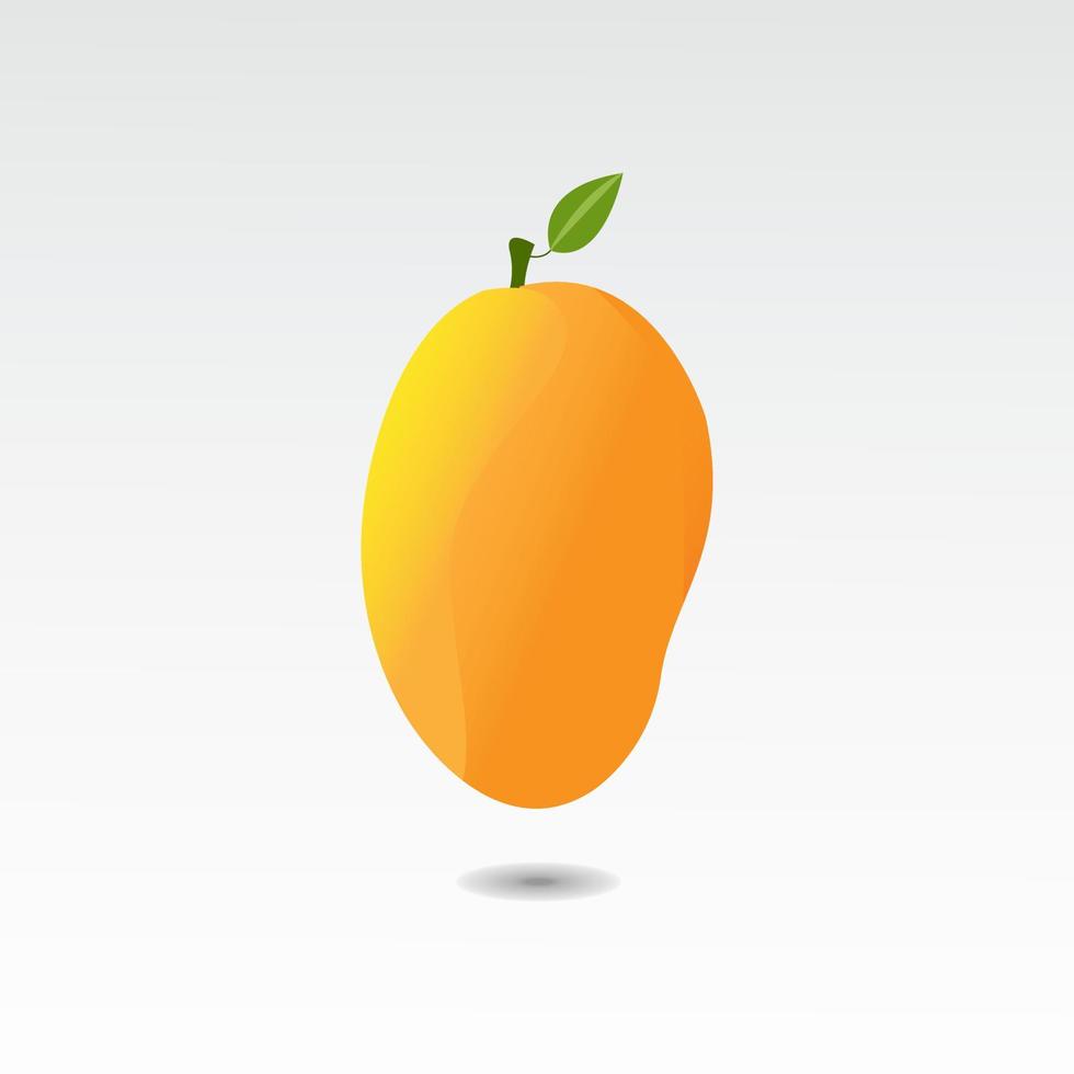 Mango-Frucht-Illustrationsvektor-Design-Vorlage vektor