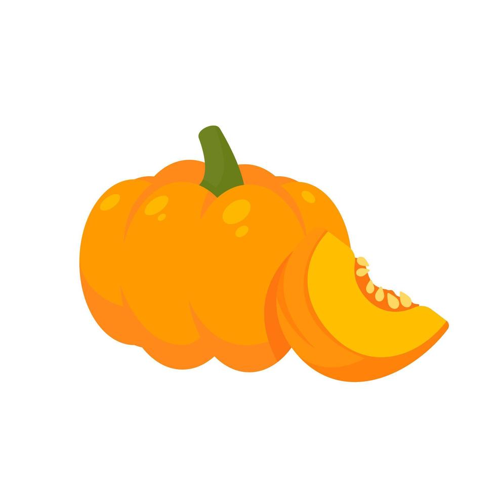apelsinpumpa är en grönsak med hög energi. Till matlagning vektor