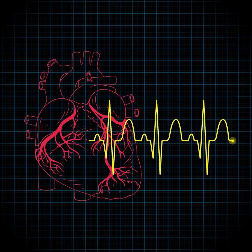 Herzschlag mit Herzfrequenzdiagramm vektor