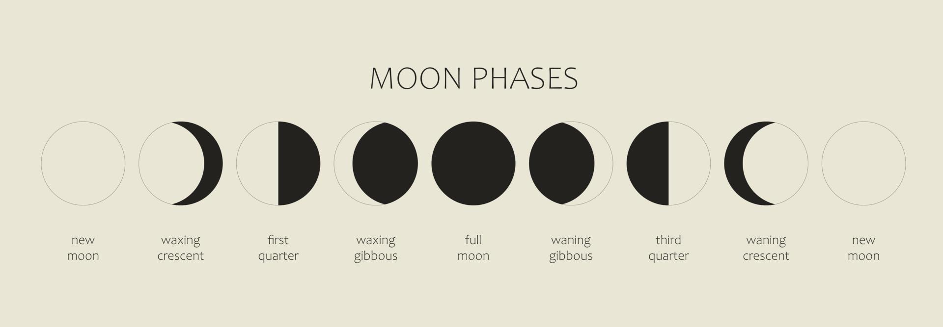 der Mond, Mondphasen auf schwarzem Hintergrund. den ganzen Zyklus vom Neumond bis zum Vollmond. astronomie und mondkalendervektorillustration vektor