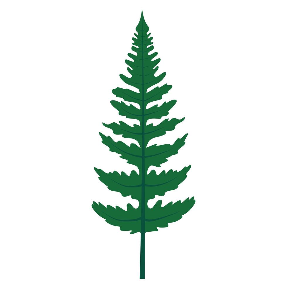 blattgrüne Farnwedelpflanze mit Stamm und komplexen Buschpflanzenblättern. tropische Waldkräuter. Vektor-Illustration. vektor