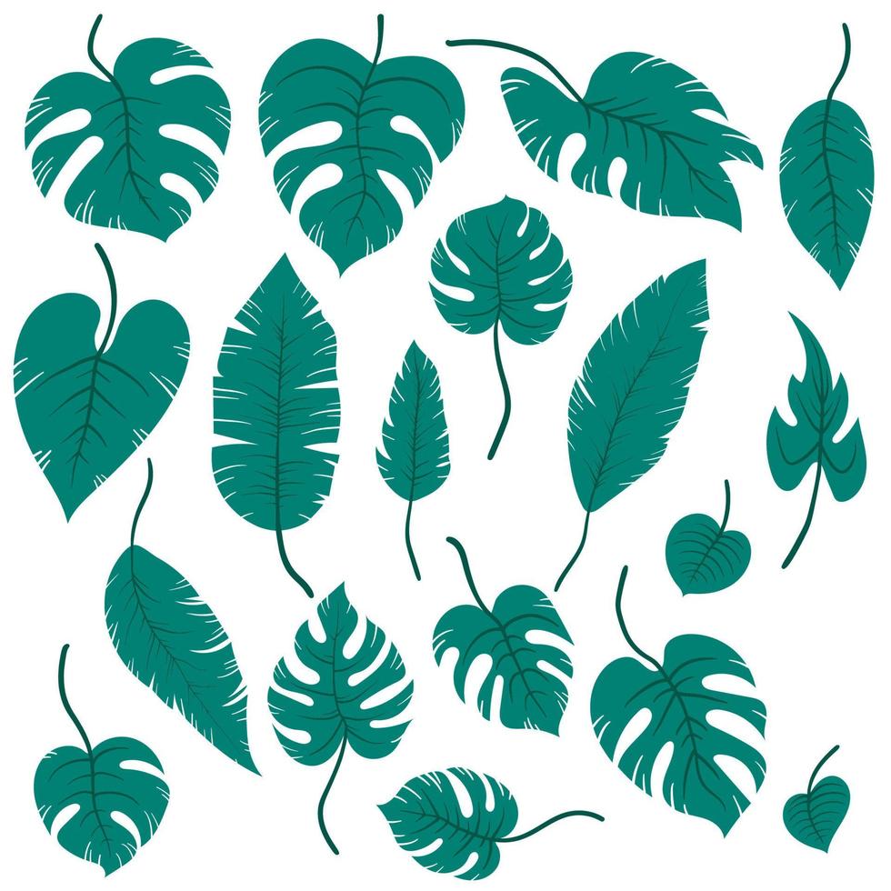 uppsättning gröna handritade tropiska exotiska löv av olika typer. djungelväxter. hibiskusblad, monstera och palmblad. tecknad botanisk vektorillustration isolerad på vit bakgrund vektor
