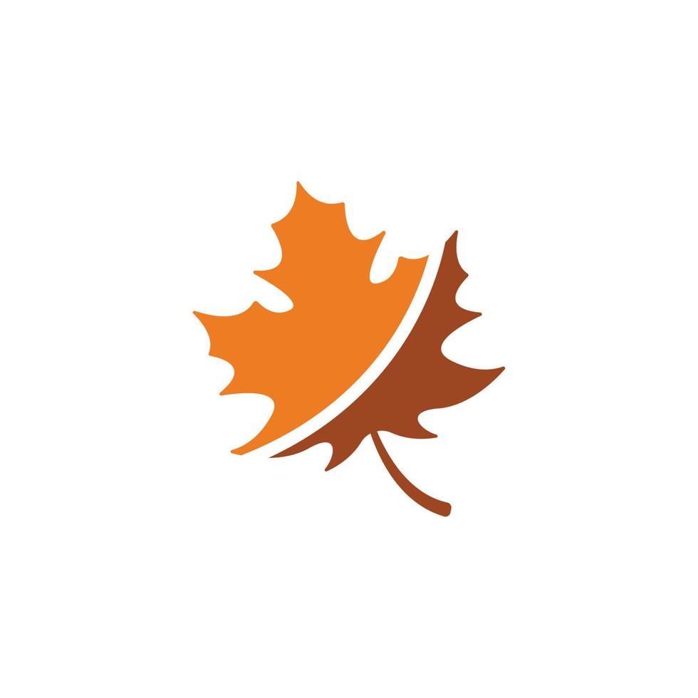 Ahornblatt-Logo-Symbol-Design-Vorlagenvektor vektor
