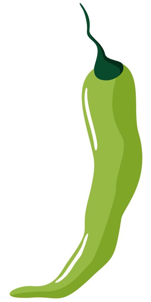 vektorisolierte illustration von grüner paprika. vektor