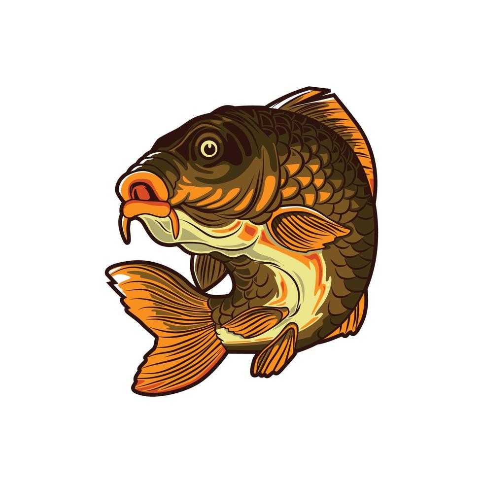 karp fisk vektor illustration design