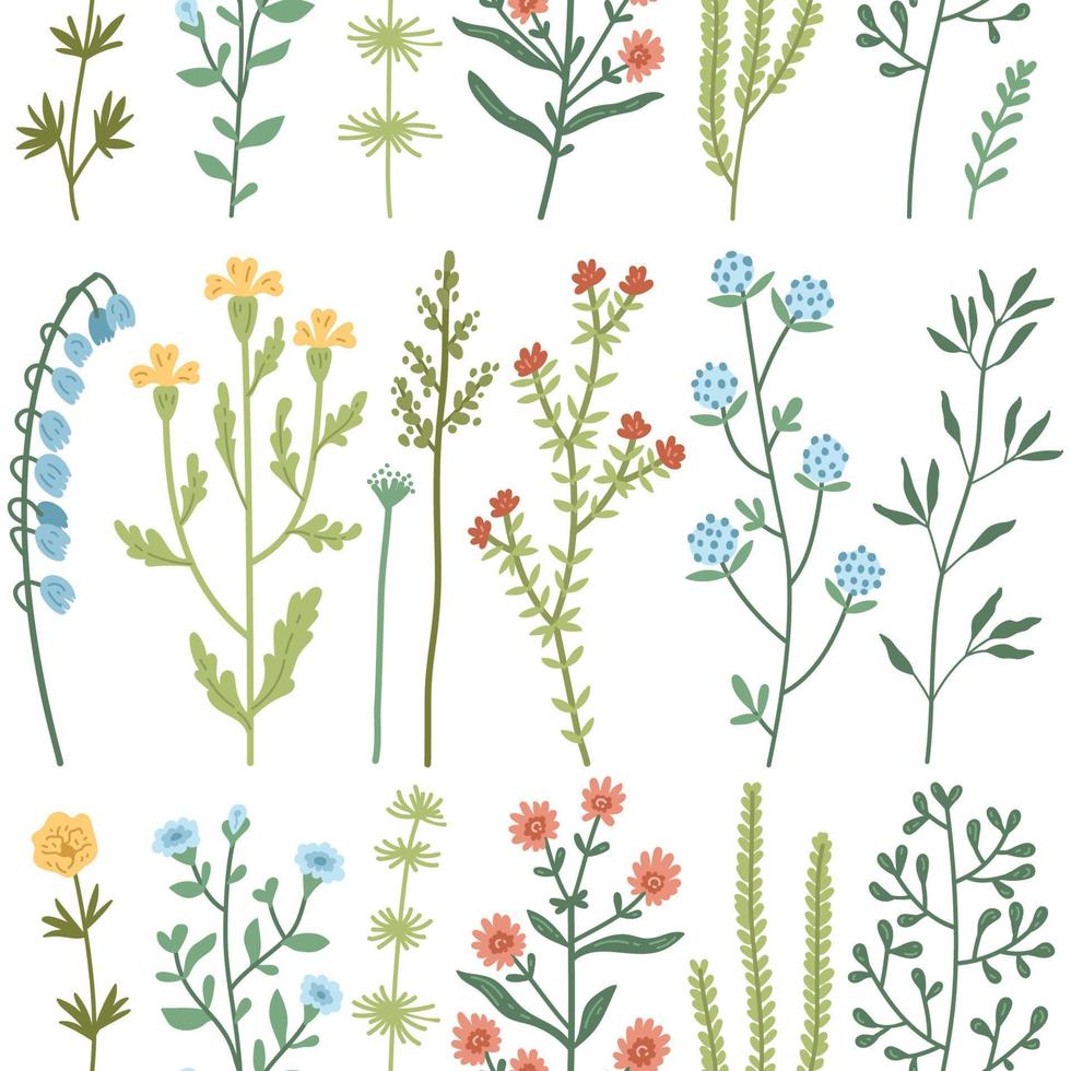 Vektornahtloses Muster mit handgezeichneten Wildpflanzen, Kräutern und Blumen, bunte botanische Illustration, vektor