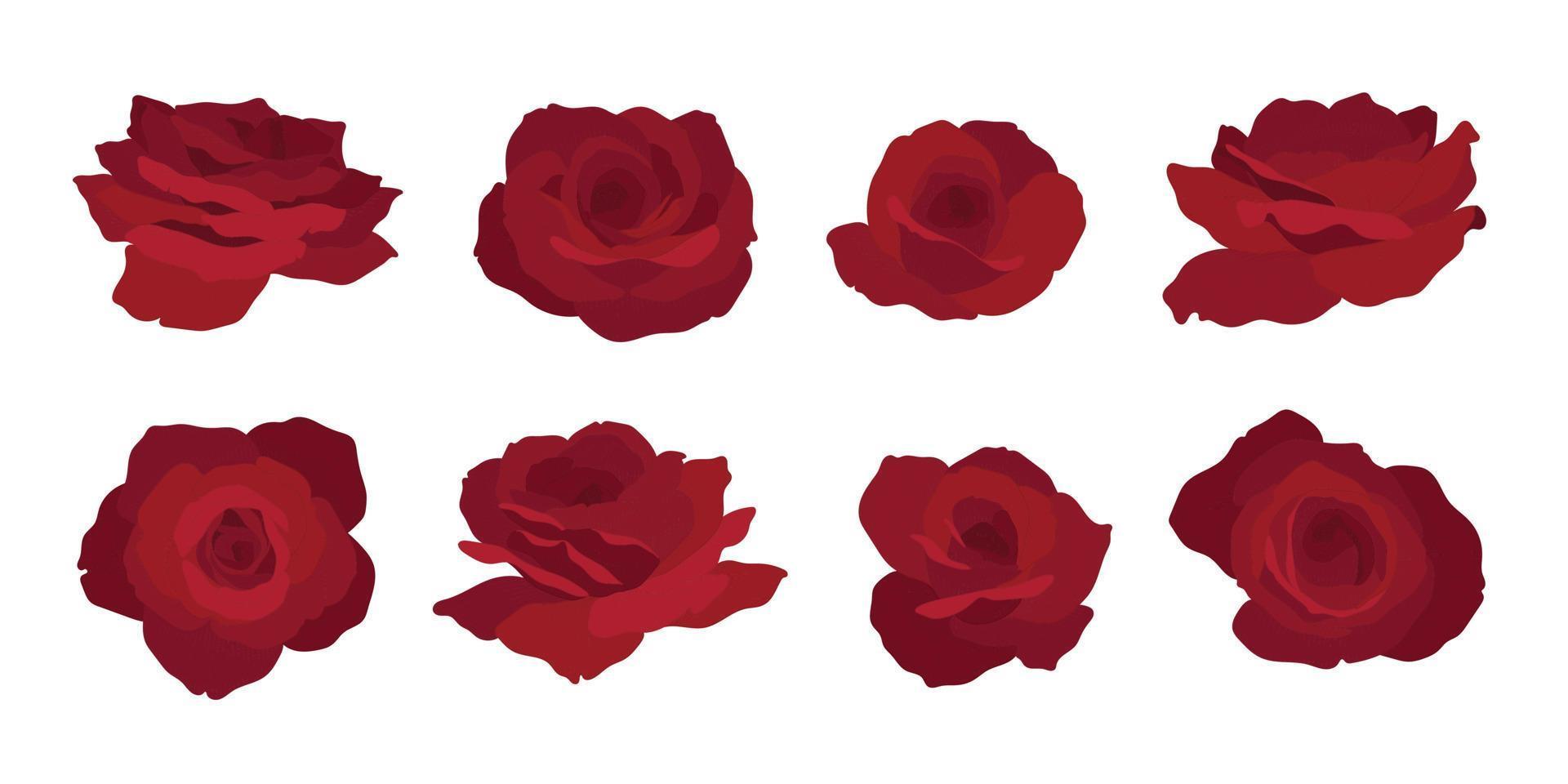 satz der blühenden blumenillustration der roten rose. vektor